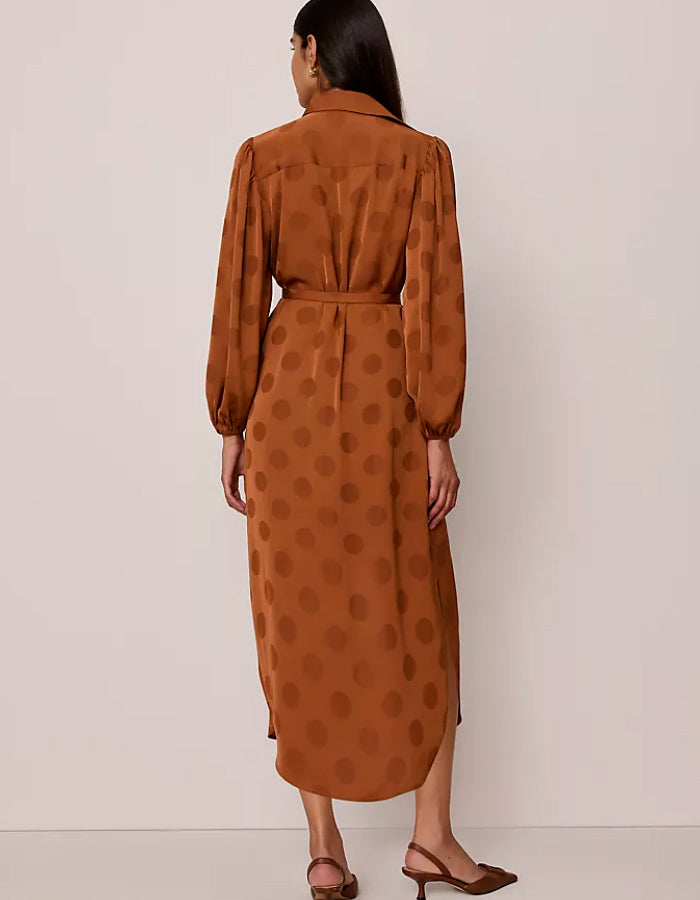 Brown Dots Satin Dress