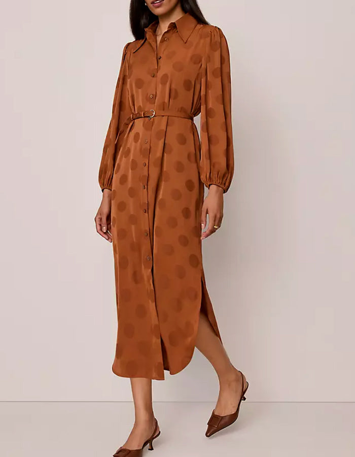 Brown Dots Satin Dress