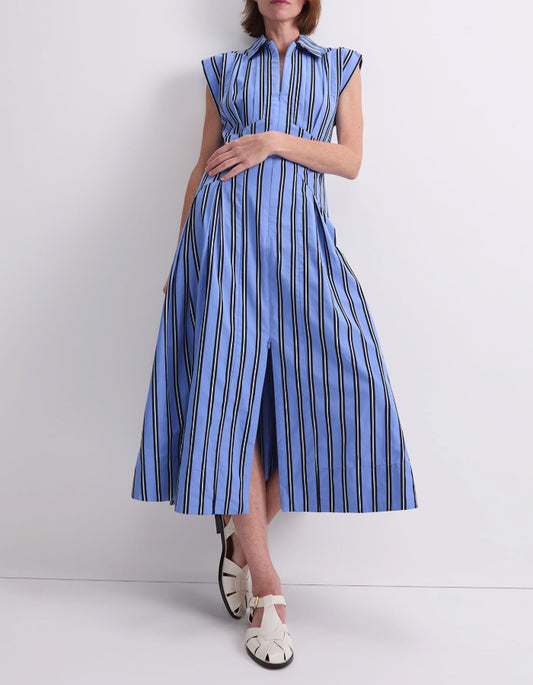 Blue Striped Dress