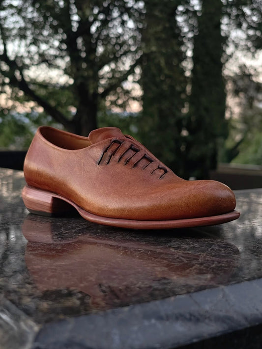 Premium Leather Shoes